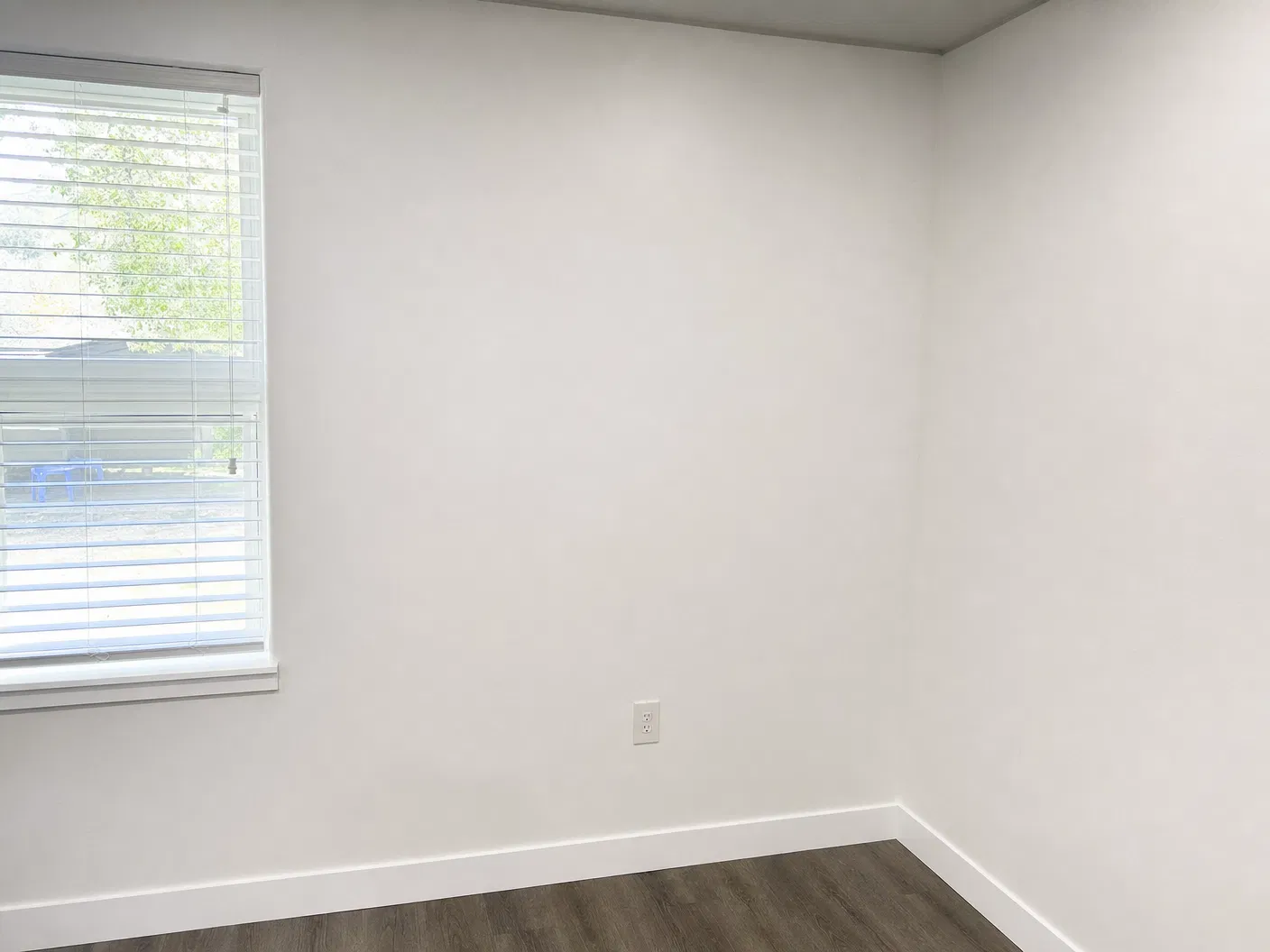 Mold removal and remediation before and after - after